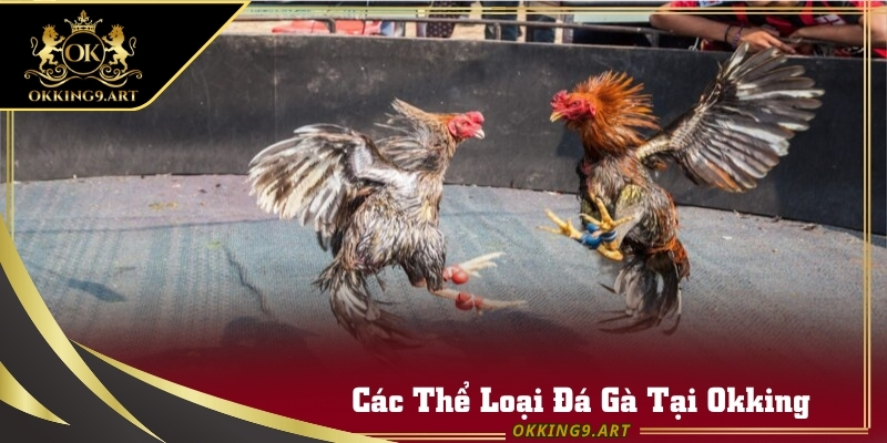 Danh mục đá gà cựa dao, cựa sắt và đá gà đòn tại Okking.