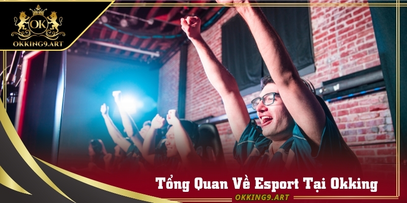Sảnh Esport Okking cập nhật lịch thi đấu toàn cầu theo ngày